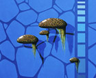 Titel: -- Underwatertanks -- , Linsenfrmige Objekte auf blauem Grund