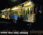 Titel: -- While the city sleeps -- , Sprher malt Graffiti auf Zug bei Nacht